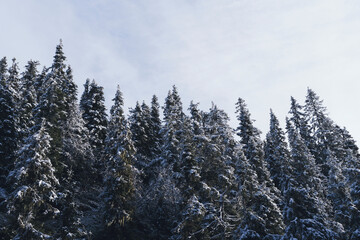 Landscape at Østhøgda and Tjuvåsen hills, part of the Totenåsen Hills, Norway, in October 2025.