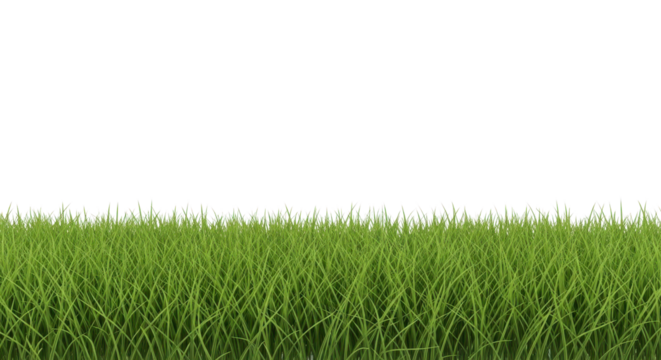 Fresh green lawn grass border isolated PNG with Transparent Background - Powered by Adobe