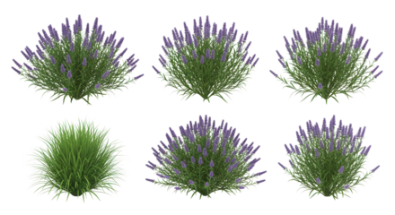 Set of realistic 3D rendered decorative garden bushes and flowering plants for landscape design isolated PNG with Transparent Background