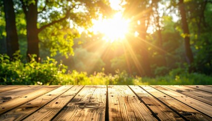 Sunlit Forest Scene with Wooden Table, Perfect for Nature-Themed Backgrounds or Imagery