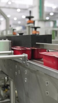 Boxes of tomato paste in a canned food production facility