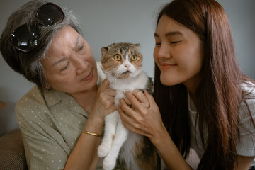 Asian Elder mother and daughter, Joyful and heartwarming moments shared with family and a beloved furry cat companion