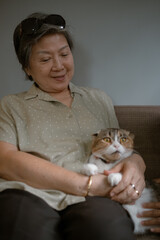 Joyful Asian elder Woman sitting with cat, Heartwarming Moment Overflowing with Love and Deep...
