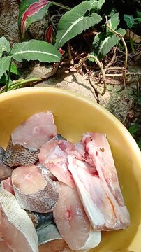 Fish Cuts Ready to Cook