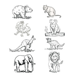 Cute cartoon animal set coloring book illustration