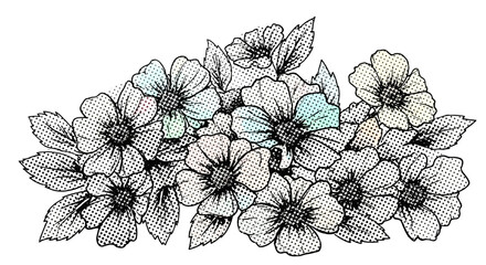 Hand Drawn Floral Illustration with Delicate Petals and Leaves.