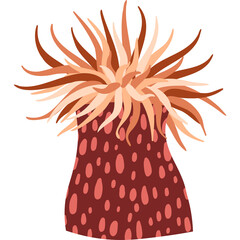 Coral reef sea anemone illustration in warm earthy tones with spotted textured base and feathery tentacles on transparent background