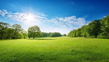 Obraz premium Sunny Meadow Green Trees Blue Sky Summer Day