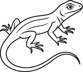 Obraz premium line art lizard animal vector