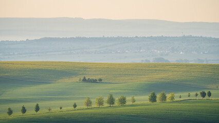 Beautiful agricultural landscape with green rolling fields during sunrise, Moravia, Czechia
