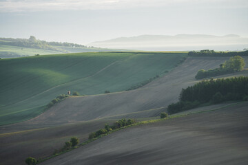 Landscape with plowed fields and green rolling hills with morning soft light, Moravia, Czechia