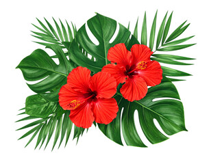 Obraz premium Tropical Composition with Two Red Hibiscus Flowers and Monstera Leaves, Isolated on Transparent Background