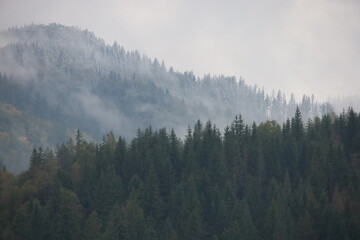 Misty Autumn Winter Mountain Landscape