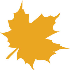 Golden Yellow Maple Leaf Silhouette Isolated On White Background Representing Autumn Season And Nature