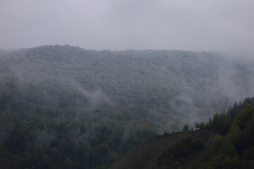 Misty peaks of the Carpathian morning