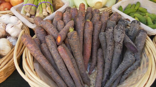 Purple Carrots at French Market