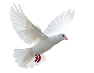 Fototapeta premium Free-Flying White Dove with Graceful Wing Movement, Side View, Generative AI Illustration, Isolated on Transparent Background