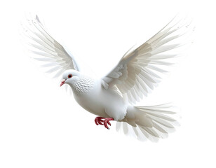 Fototapeta premium White Dove in Flight with Open Wings, Symbol of Peace, Generative AI, Isolated on Transparent Background