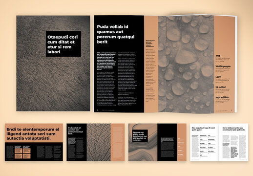 Business Presentation & Report Template