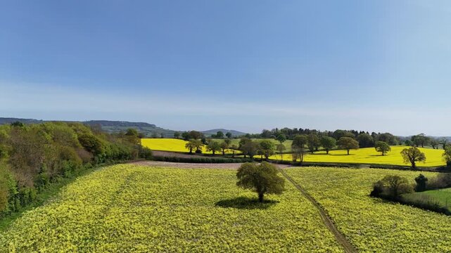 East Devon countryside