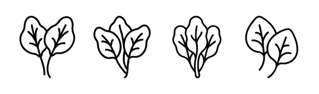 Vector illustration of fresh baby spinach leaves healthy food graphic