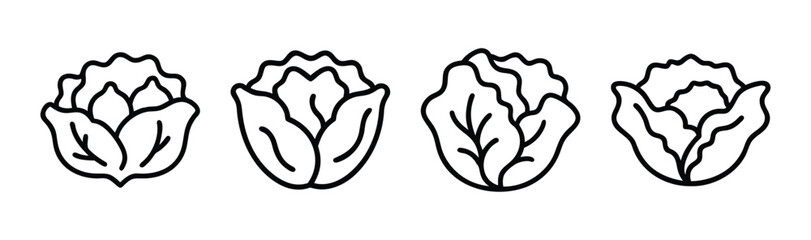 Fresh iceberg lettuce vector illustration salad ingredient icon