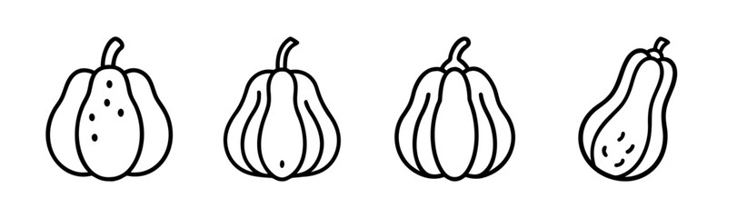 Acorn squash vector illustration scalable graphic icon © Md