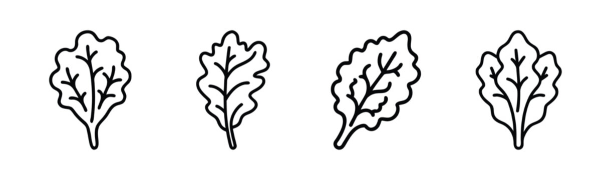 Modern vector illustration of a kale leaf healthy food ingredient
