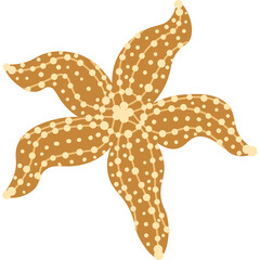 Hand Drawn Starfish with Cream Colored Dots on a Transparent Background A Nautical Ocean Dweller with Five Arms in a Flat Doodle Style Perfect for Marine Life Designs