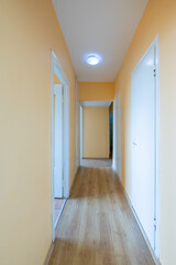 Home Corridor, Entrance Hall. Hallway. Bright Pink Walls, Hardwood Floor. LED Light on the Ceiling.