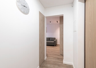 Home Entrance Hall, Hallway Interior. Wooden Outdoor Door, Brown Flooring. Minimalism.