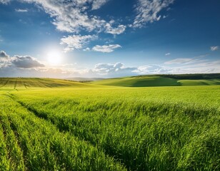 Obraz premium vibrant green field under a sunny sky with clouds and bright light behind horizon with fresh and clean growth in agriculture field showing tranquil scenery of rural countryside a lush meadow