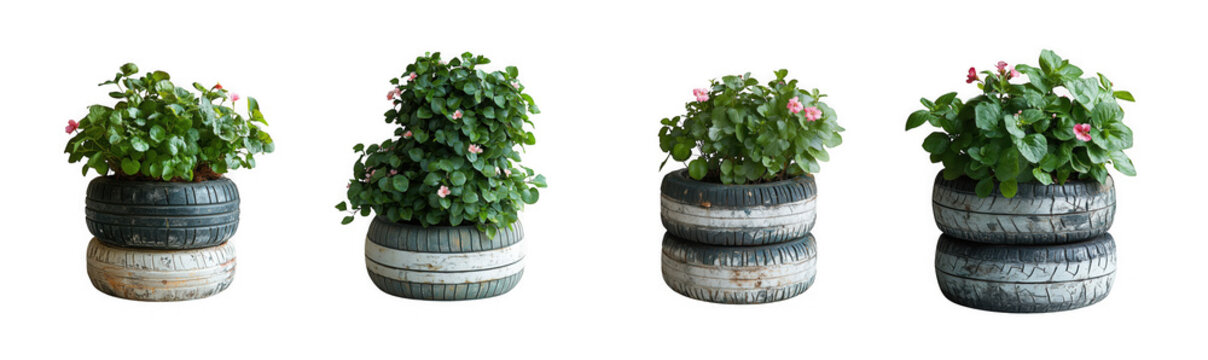 Four potted plants in stacked tire planters isolated on transparent background