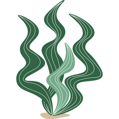 Illustration Of Green Seaweed And Kelp Plants Growing Underwater On Sandy Seabed With White Lines Detail And Transparent Background