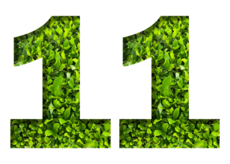 number 11 from green leaves  isolated on transparent background. suitable for birthday, anniversary and memorial day templates.