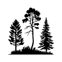 Obraz premium Black Pine Tree Trio Silhouette with Forest Grass Vector Illustration