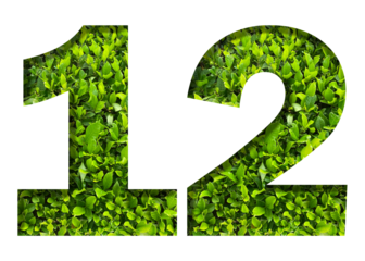 number 12 from green leaves  isolated on transparent background. suitable for birthday, anniversary and memorial day templates.