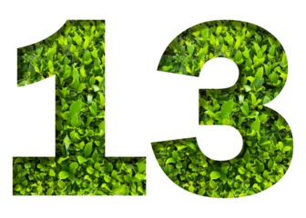 number 13 from green leaves  isolated on transparent background. suitable for birthday, anniversary and memorial day templates.