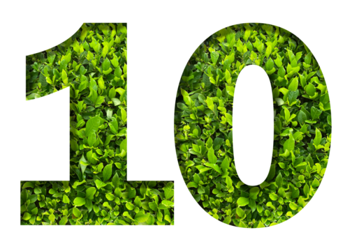 number 10 from green leaves  isolated on transparent background. suitable for birthday, anniversary and memorial day templates.