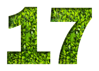 number 17 from green leaves isolated on transparent background. suitable for birthday, anniversary and memorial day templates.
