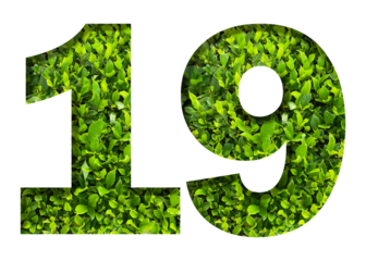number 19 from green leaves  isolated on transparent background. suitable for birthday, anniversary and memorial day templates.