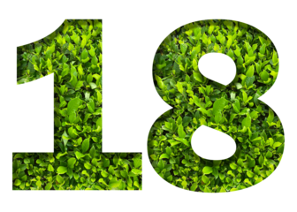 number 18 from green leaves  isolated on transparent background. suitable for birthday, anniversary and memorial day templates.