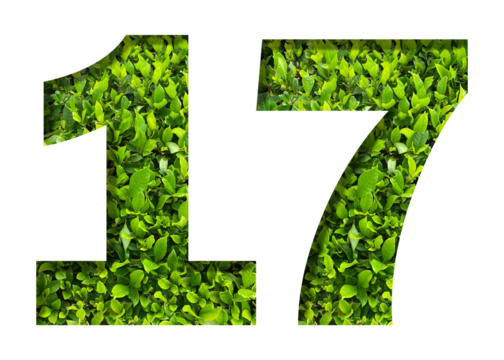 number 17 from green leaves isolated on transparent background. suitable for birthday, anniversary and memorial day templates.