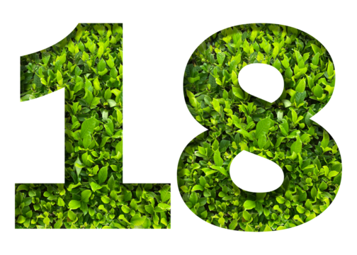 number 18 from green leaves  isolated on transparent background. suitable for birthday, anniversary and memorial day templates.