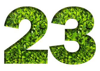 number 23 from green leaves  isolated on transparent background. suitable for birthday, anniversary and memorial day templates.