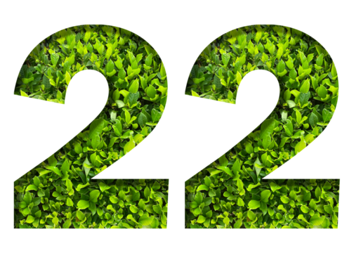 number 22 from green leaves isolated on transparent background. suitable for birthday, anniversary and memorial day templates.