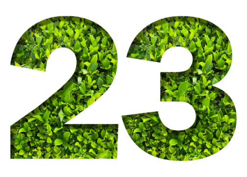 number 23 from green leaves isolated on transparent background. suitable for birthday, anniversary and memorial day templates.