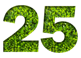 number 25 from green leaves isolated on transparent background. suitable for birthday, anniversary and memorial day templates.
