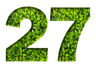 number 27 from green leaves  isolated on transparent background. suitable for birthday, anniversary and memorial day templates.