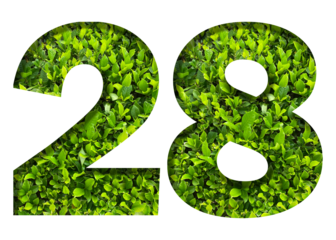 number 28 from green leaves isolated on transparent background. suitable for birthday, anniversary and memorial day templates.